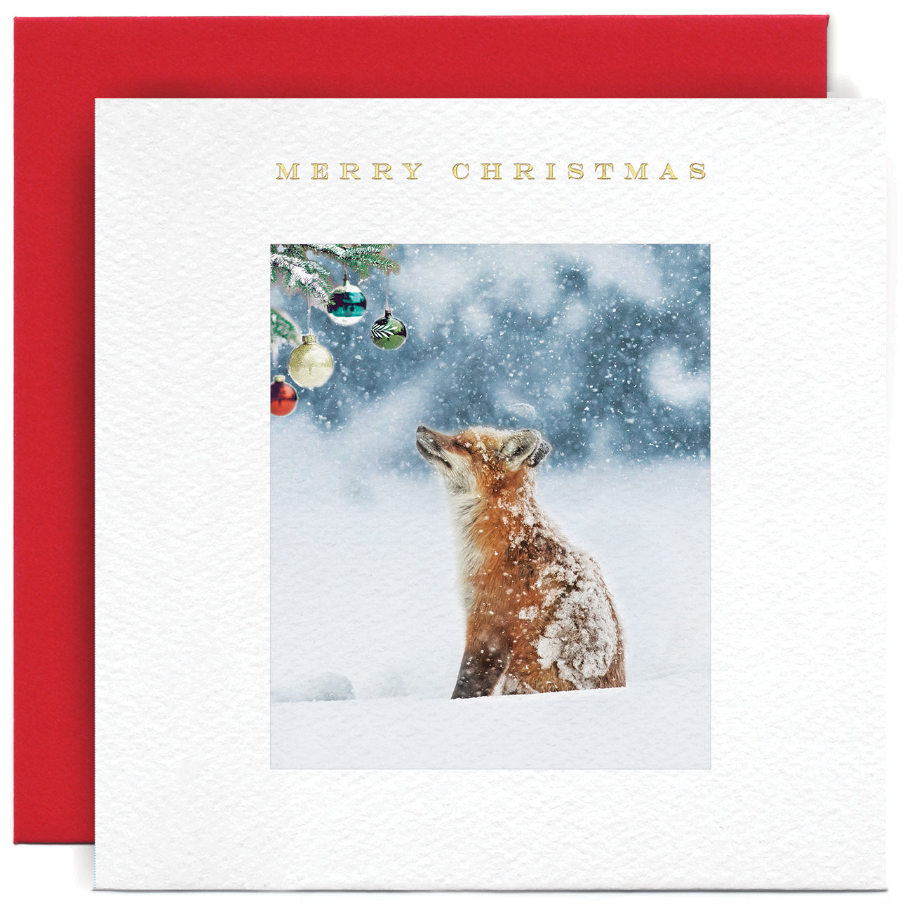 Baby Fox Christmas Card