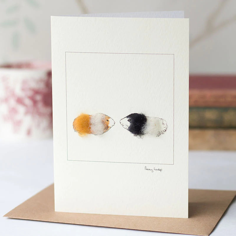 Guinea Pig greetings card - ginger and black