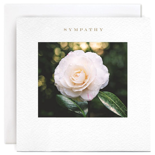 Camellia Sympathy Card Card