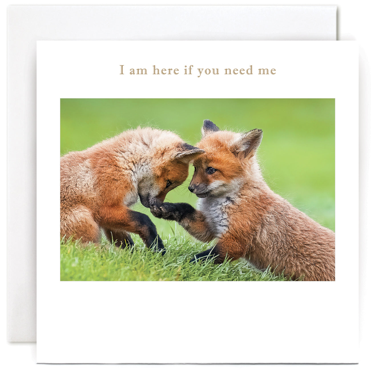 Fox Cubs Sympathy Card Card