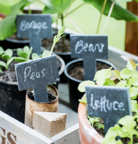 Greenhouse Tags with Chalk - Set of 6 - Natural - Slate