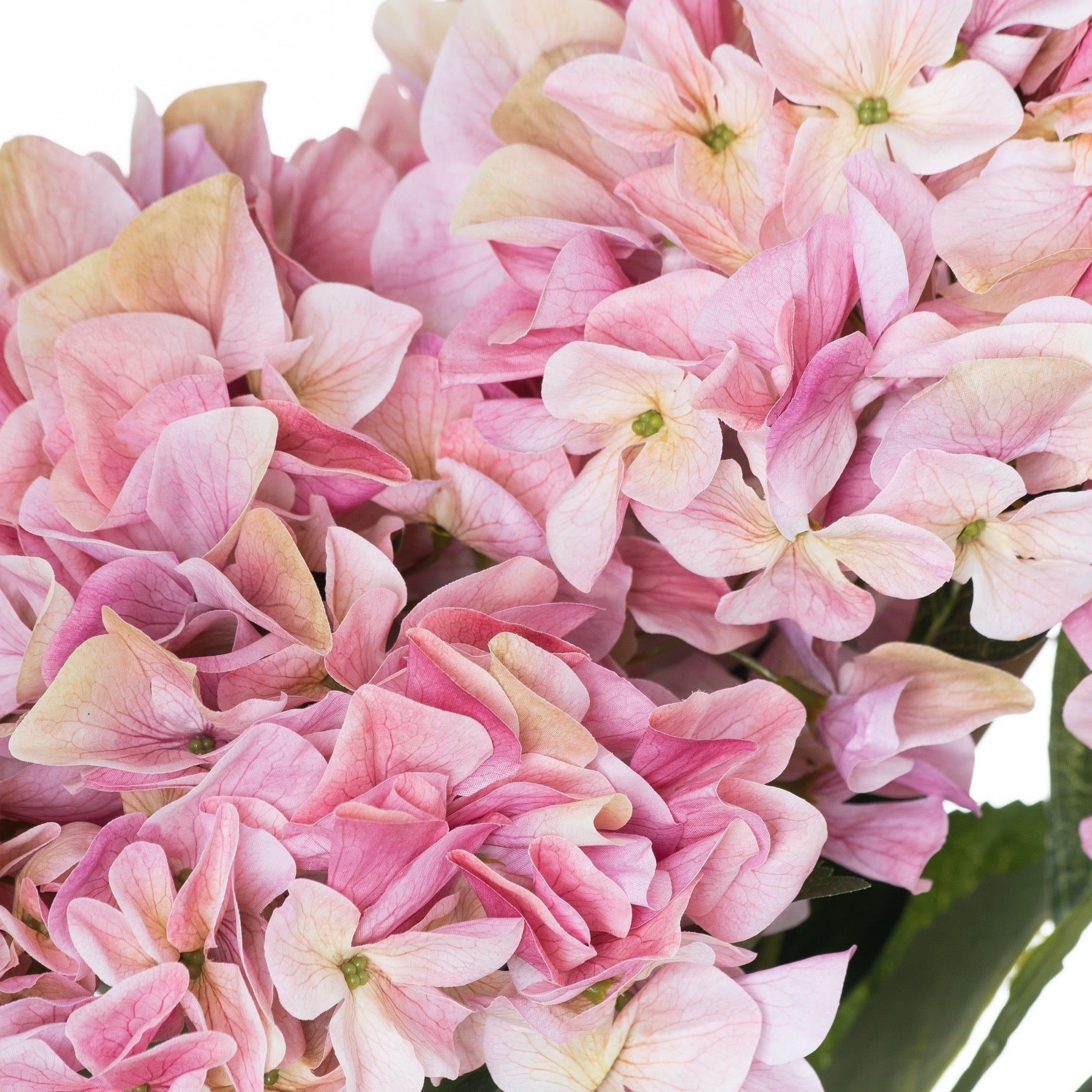 Shabby Pink Hydrangea Bouquet - The Tulip Tree Chiddingstone