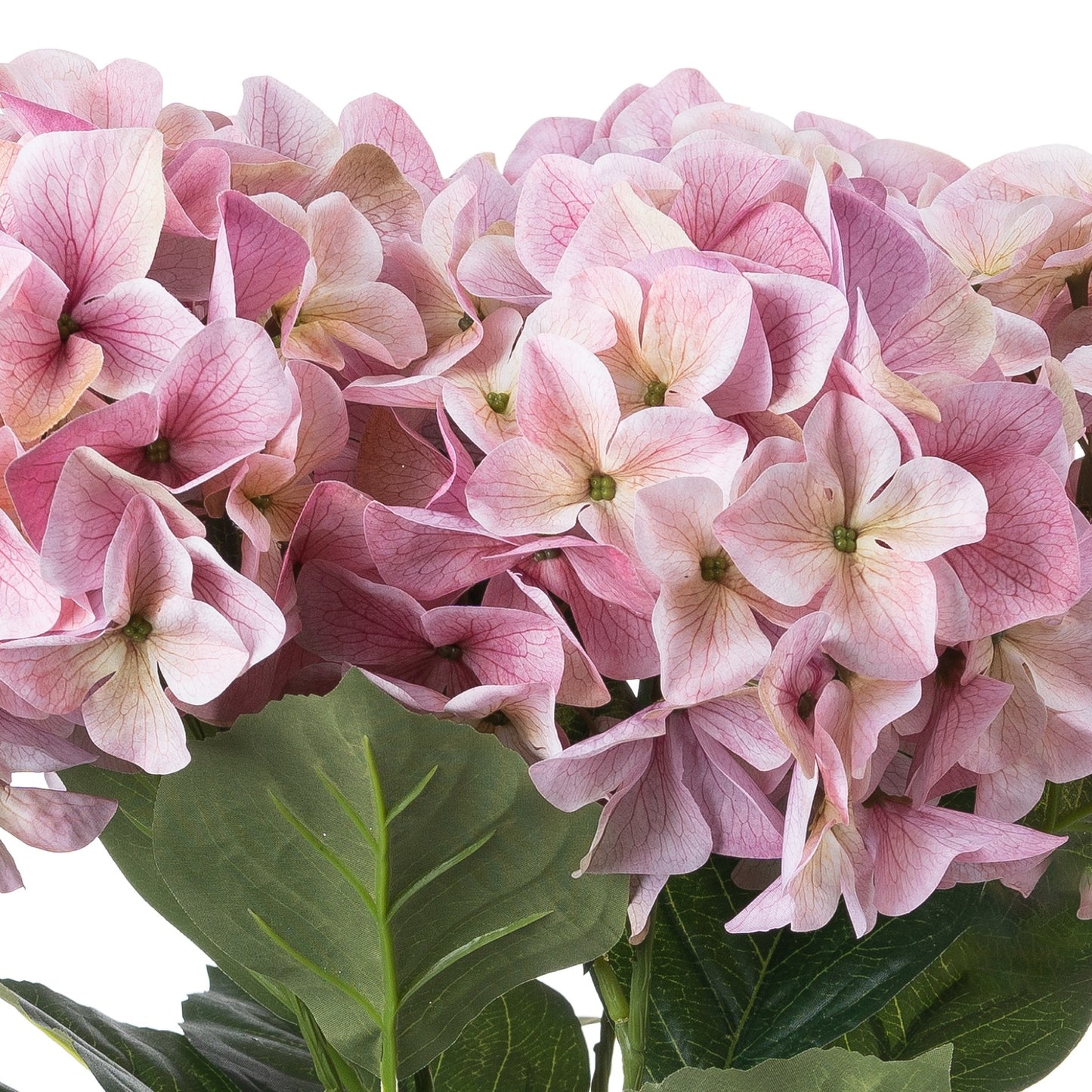 Shabby Pink Hydrangea Bouquet - The Tulip Tree Chiddingstone