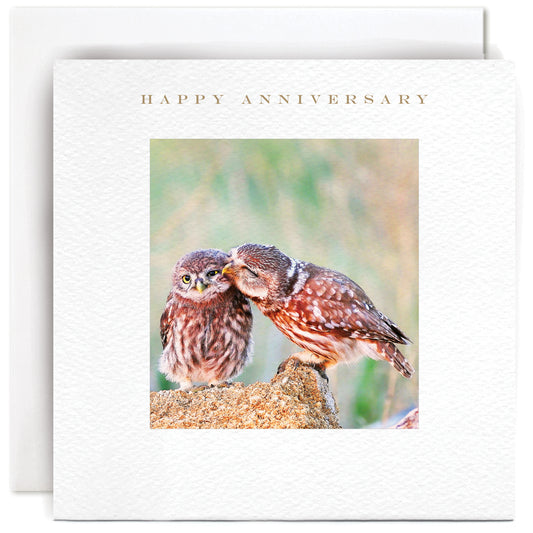 Loving Owls Happy Anniversary Card