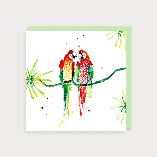 Macaw Couple Blank Card