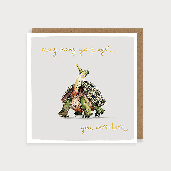 Birthday Tortoise Card