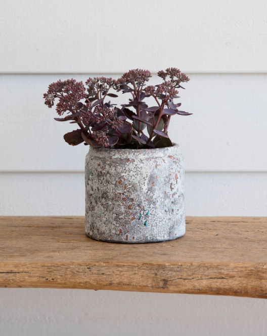 Ceramic Plant Pot 14cm