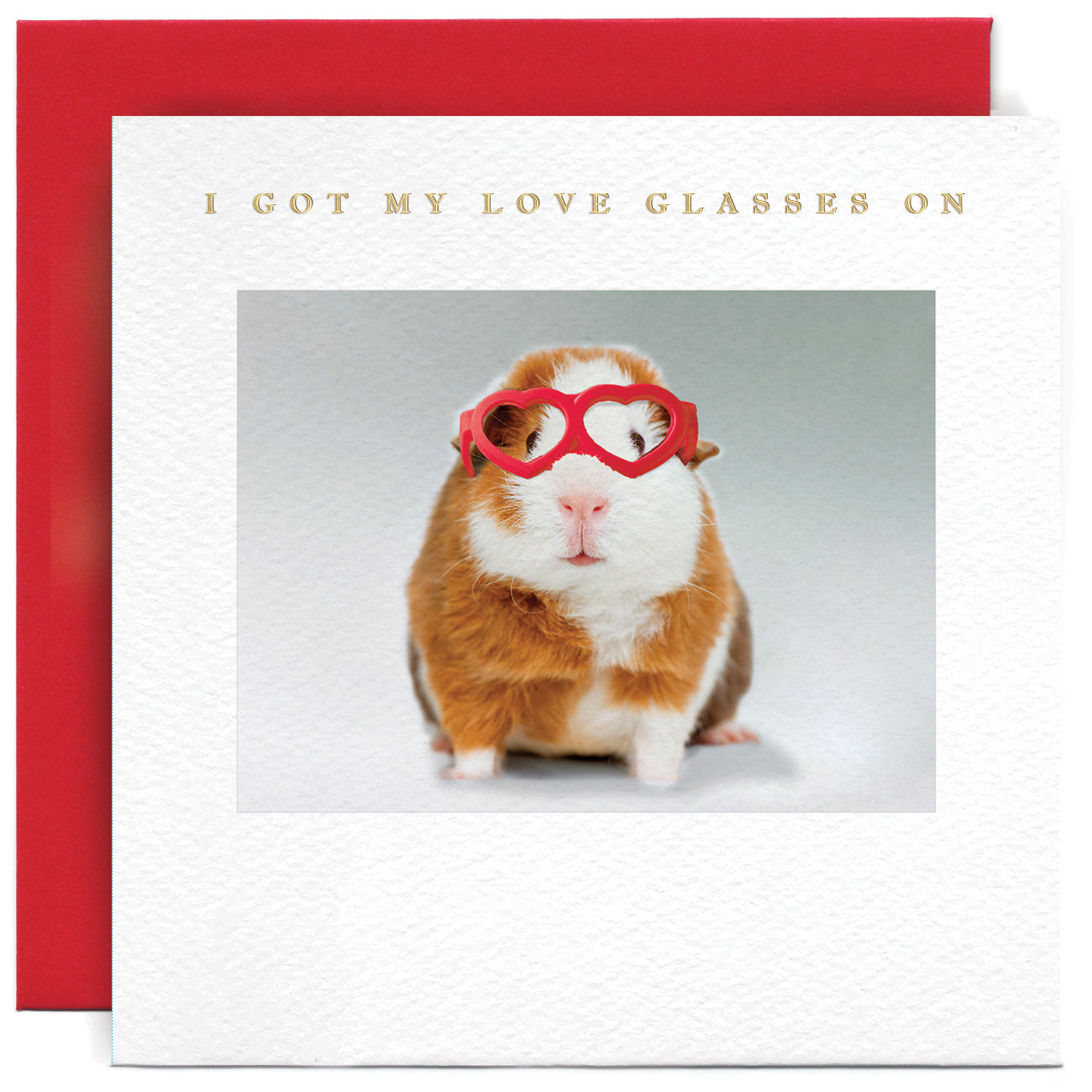 Guinea Pig I got my Love Glasses on Valentine's Card