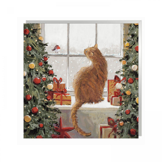 A Special Visit Pack of 6 Cards
