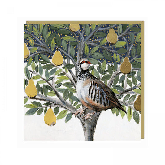 Golden Partridge Pack of 6 Cards