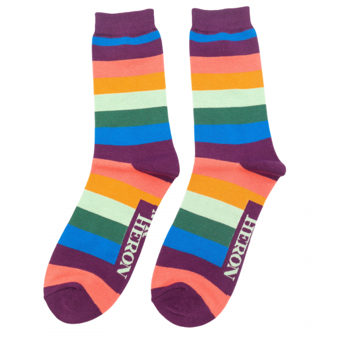 Mr Heron Rainbow Stripes Purple Socks